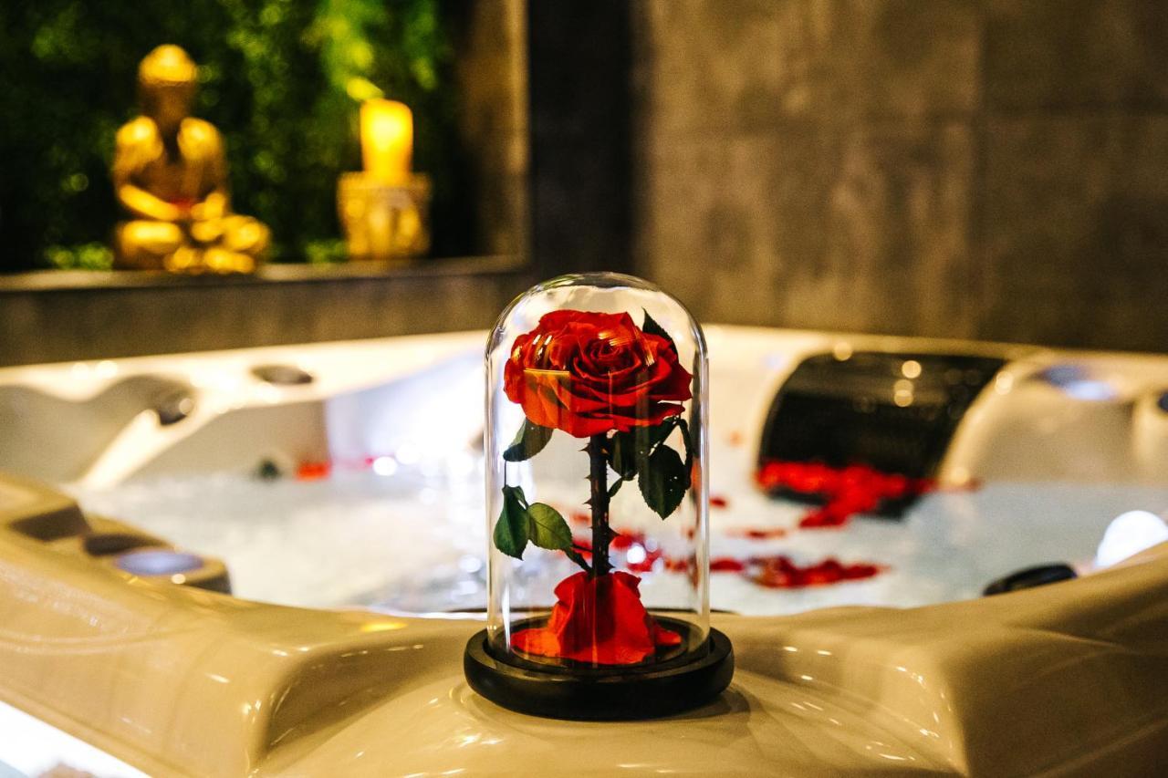 Loveroom Intimiste Et Haut De Gamme A 30 Min De Toulouse Puydaniel エクステリア 写真